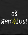 Aš genijus